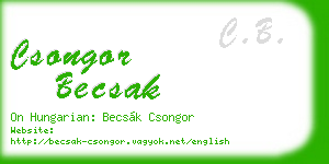csongor becsak business card
