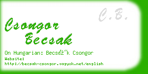 csongor becsak business card